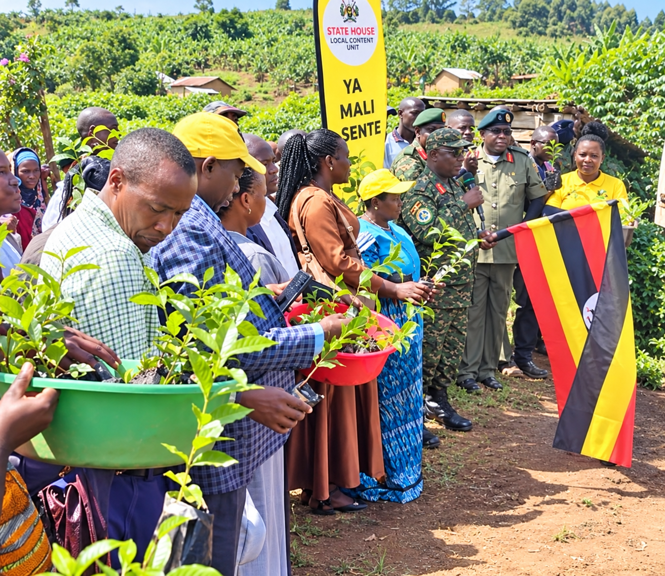 Rukiga Coffee Farmers ready for state house seedlings as planting season nears