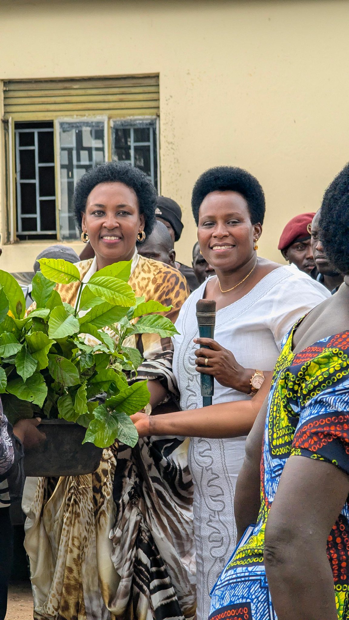 Molly Kamukama Secures 80,000 Coffee Seedlings for Kazo Farmers