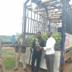 Kazo Woman MP Molly Kamukama Distributes Coffee Seedlings to Boost Household Incomes