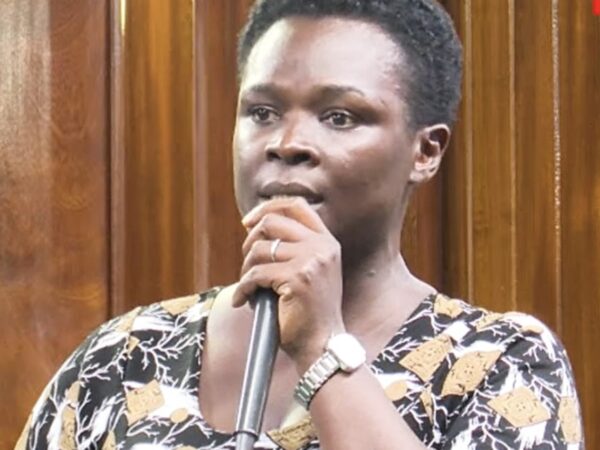 Rebecca Kyarampe Namanya Raises Alarm Over Elephant Attacks, Calls for Fencing in Mitooma