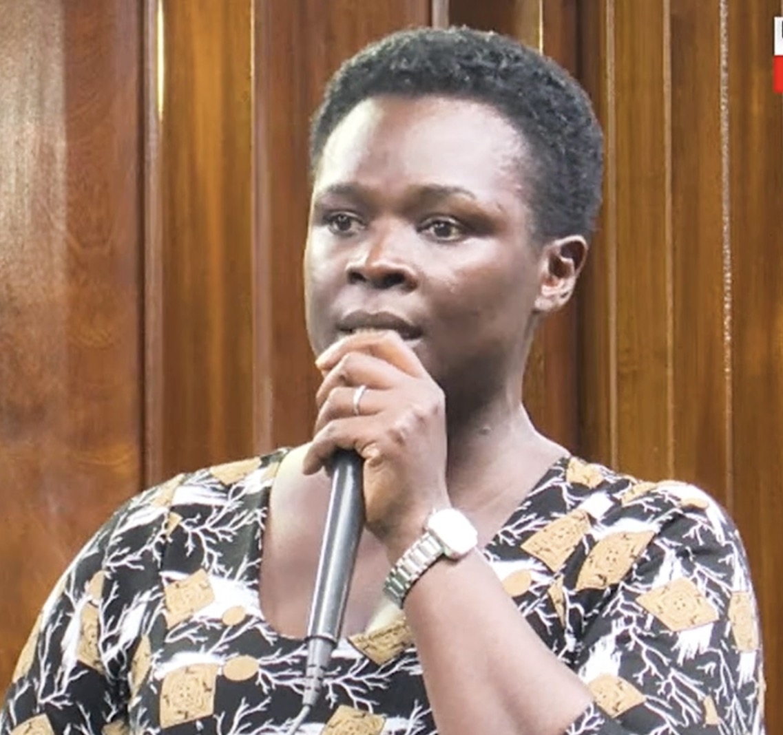 Rebecca Kyarampe Namanya Raises Alarm Over Elephant Attacks, Calls for Fencing in Mitooma